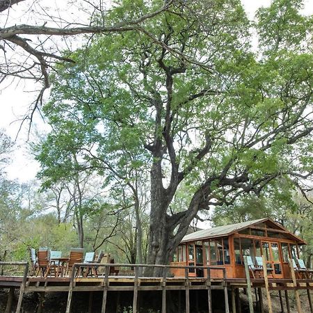 Ndzhaka Tented Camp Manyeleti Game Reserve Exterior photo